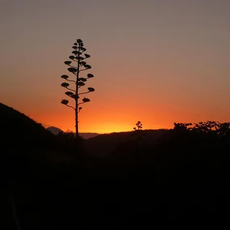 Casa Cueva El Molino By Artenatur カントリーハウス *